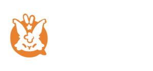 Kotae Expo